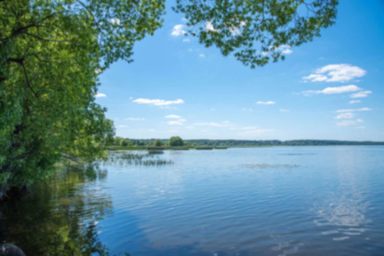 Summer landscape on the lake with trees background